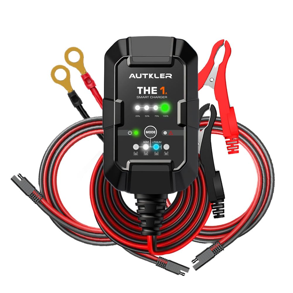 Amazon.co.jp: AUTKLER THE 1A 【次世代】6V 12V バイクバッテリー充電